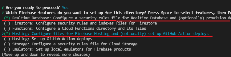 Опции Realtime Database и Hosting