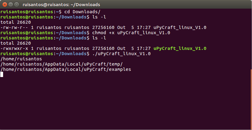 Открытие uPyCraft IDE через терминал Linux Ubuntu