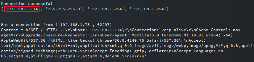 ESP32 ESP8266 MicroPython IP-адрес