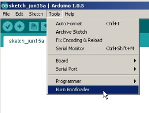 Burn Bootloader