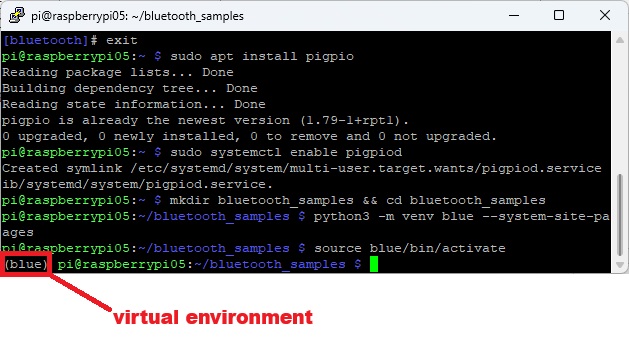 Виртуальное окружение Raspberry Pi активировано