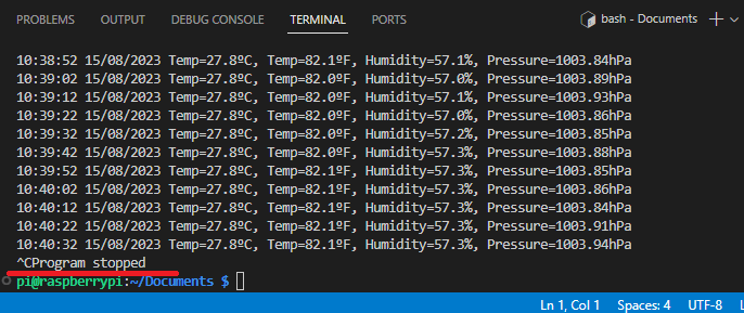 Raspberry Pi — остановка Python-программы в VS Code